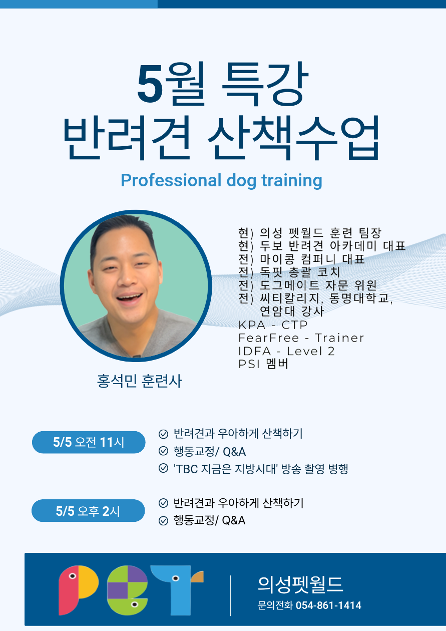 펫월드 다양한 프로그램_산책수업