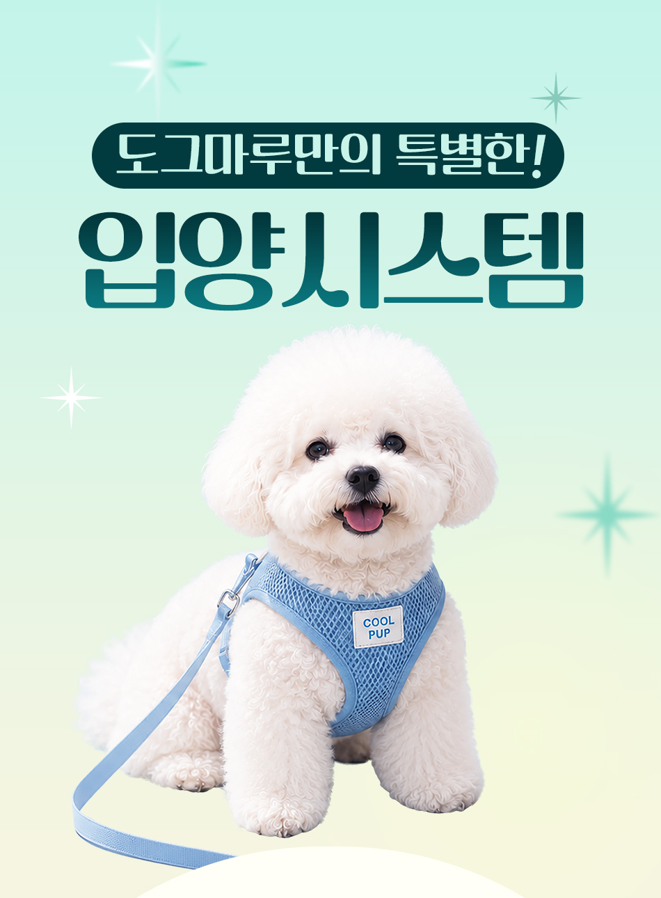 도그마루만의 특별한 입양시스템