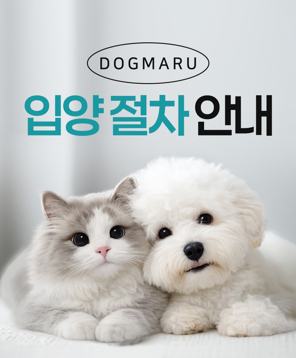 입양절차안내