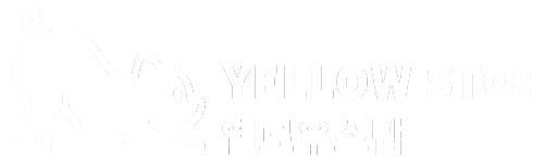 양양애견동반옐로우스탑펜션