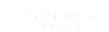 양양애견동반옐로우스탑펜션