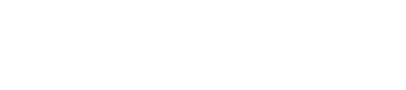 THE SOAP COMPANY