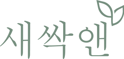 새싹앤