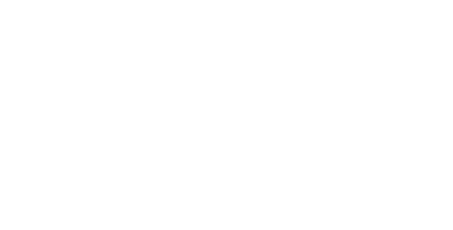 홍새유니버스