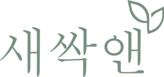 새싹앤
