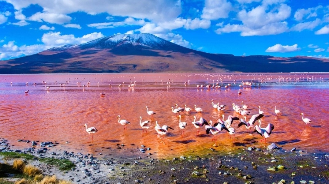 단독 6명출발 소규모 남미 일주 5개국 18일 페루 볼리비아 칠레 아르헨티나 브라질