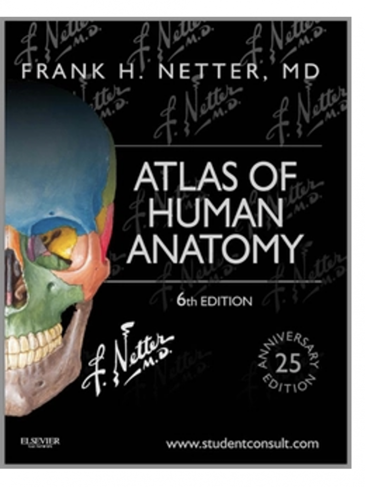 Atlas of Human Anatomy (6th Ed.): The Medical Art of Frank H