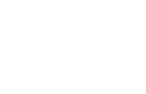 보은대추축제
