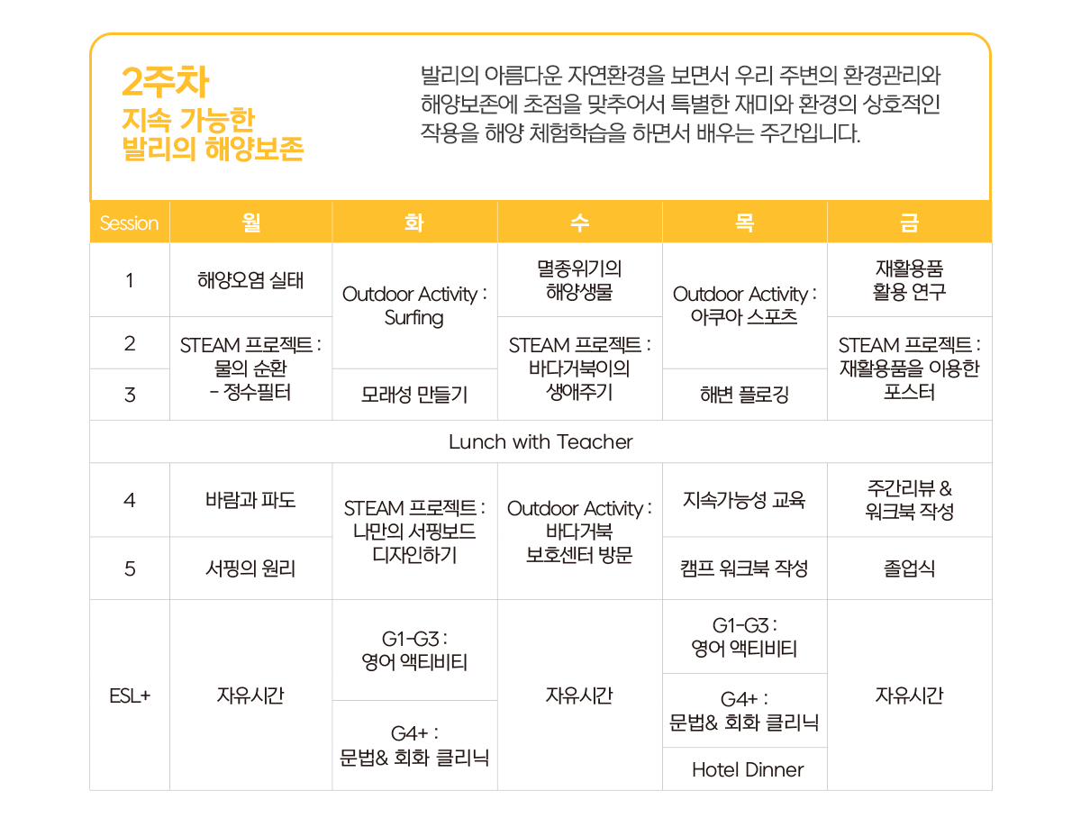스터디인파라다이스 스팀 커리큘럼 STEAM 발리영어캠프