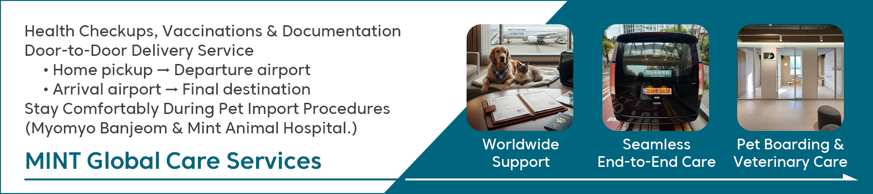 MINT Global Care - Complete Worldwide Support, Seamless Global Care, Safe Pet Boarding