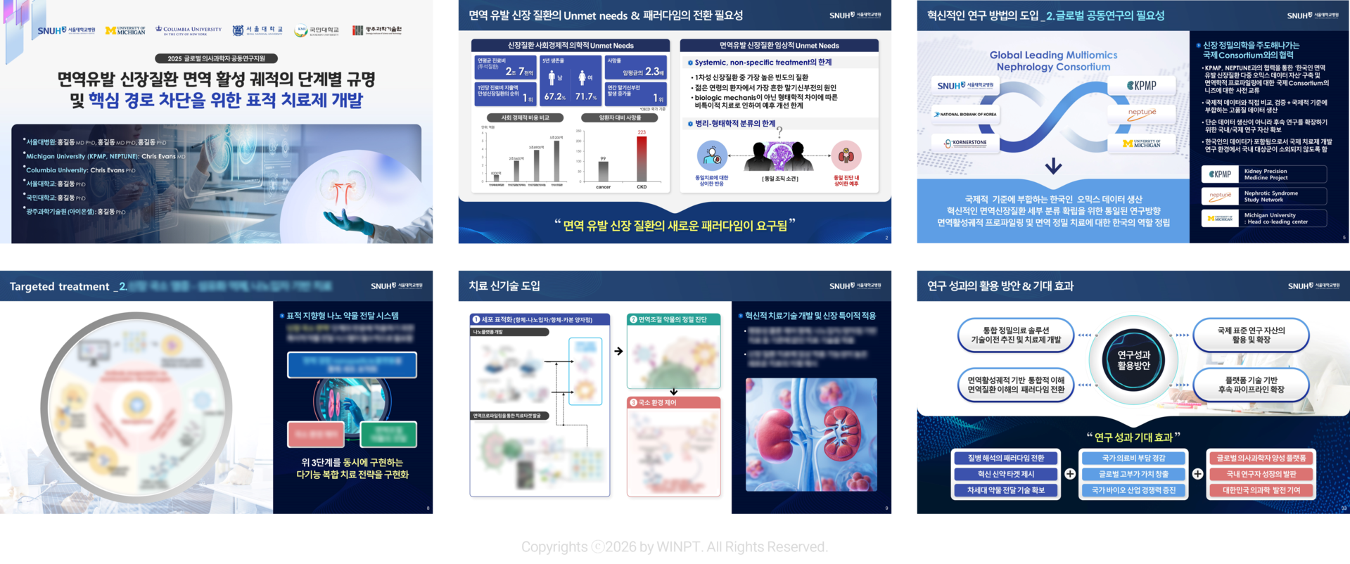 글로벌의사과학자 공동연구지원 사업제안서 ppt내지 세부 포트폴리오