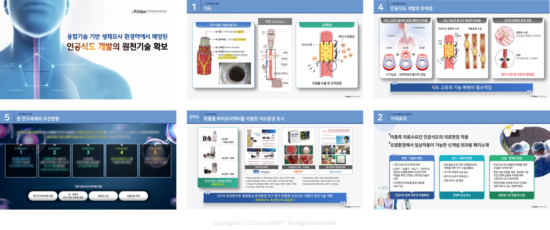서울대학교병원 이비인후과 정부 연구과제 지원 ppt내지 세부 포트폴리오