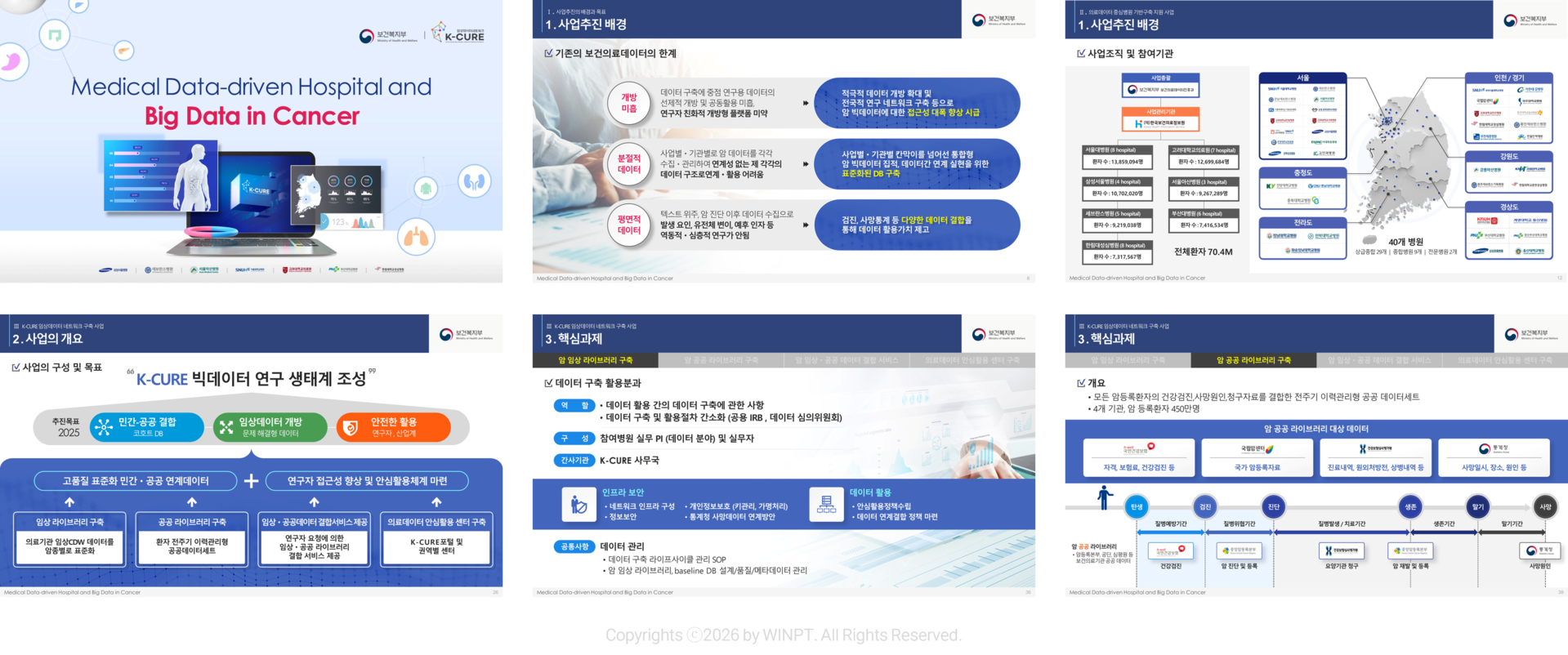 한국보건의료정보원 국가 K-CURE 사업계획 ppt내지 세부 포트폴리오 