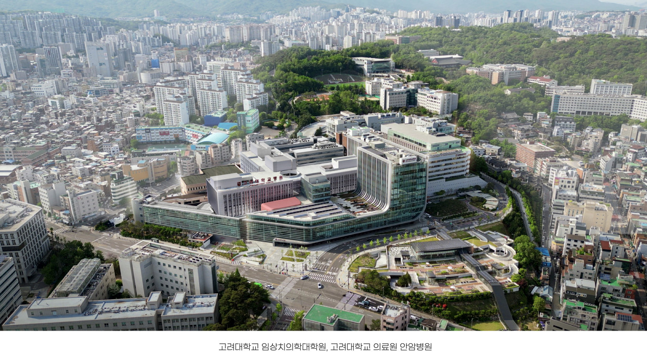 고려대 임상치의학대학원 석사