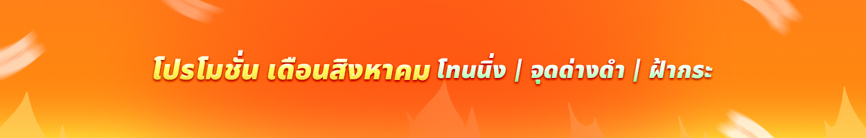 ยังไม่รวม VAT