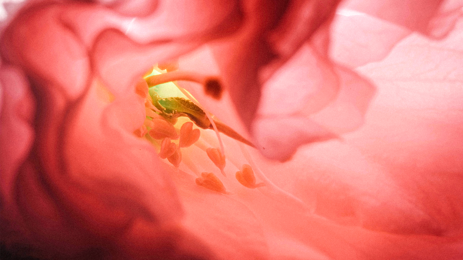 mobile background