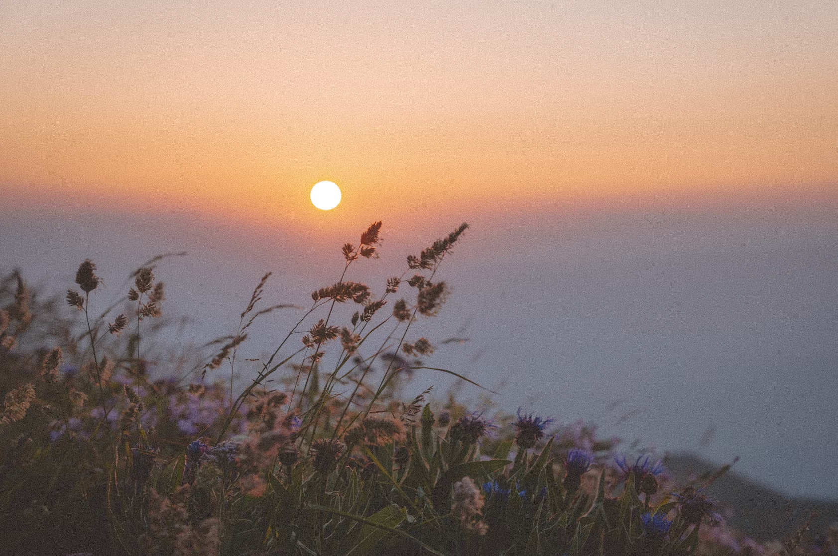 mobile background