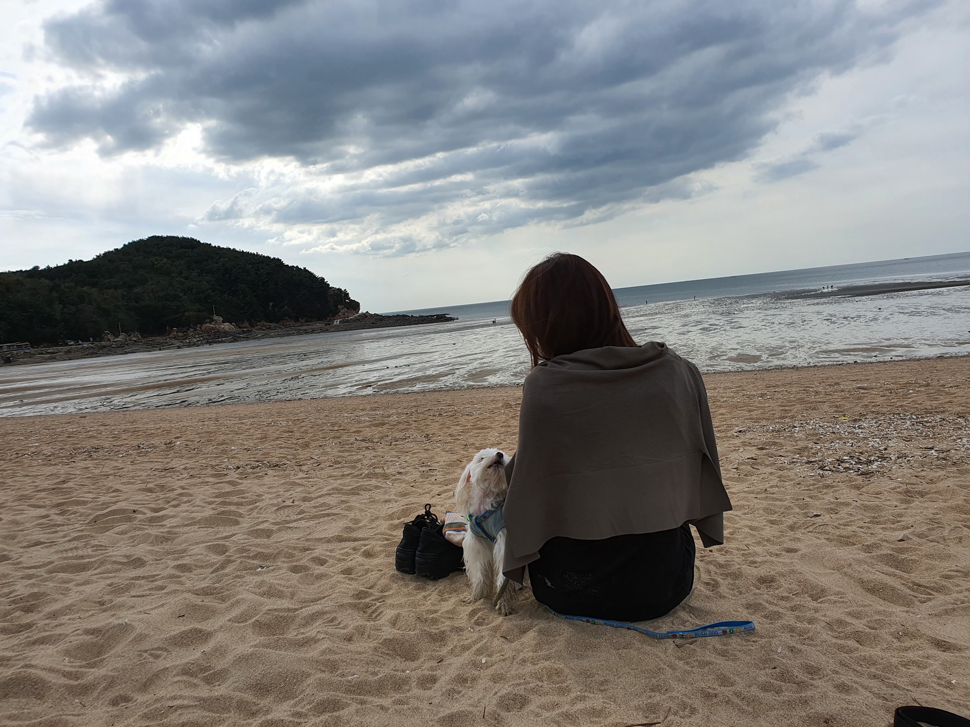 함께한 시간을 담은 써니와 보호자의 모습