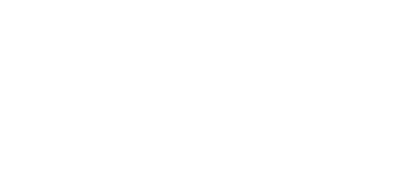 ZFN