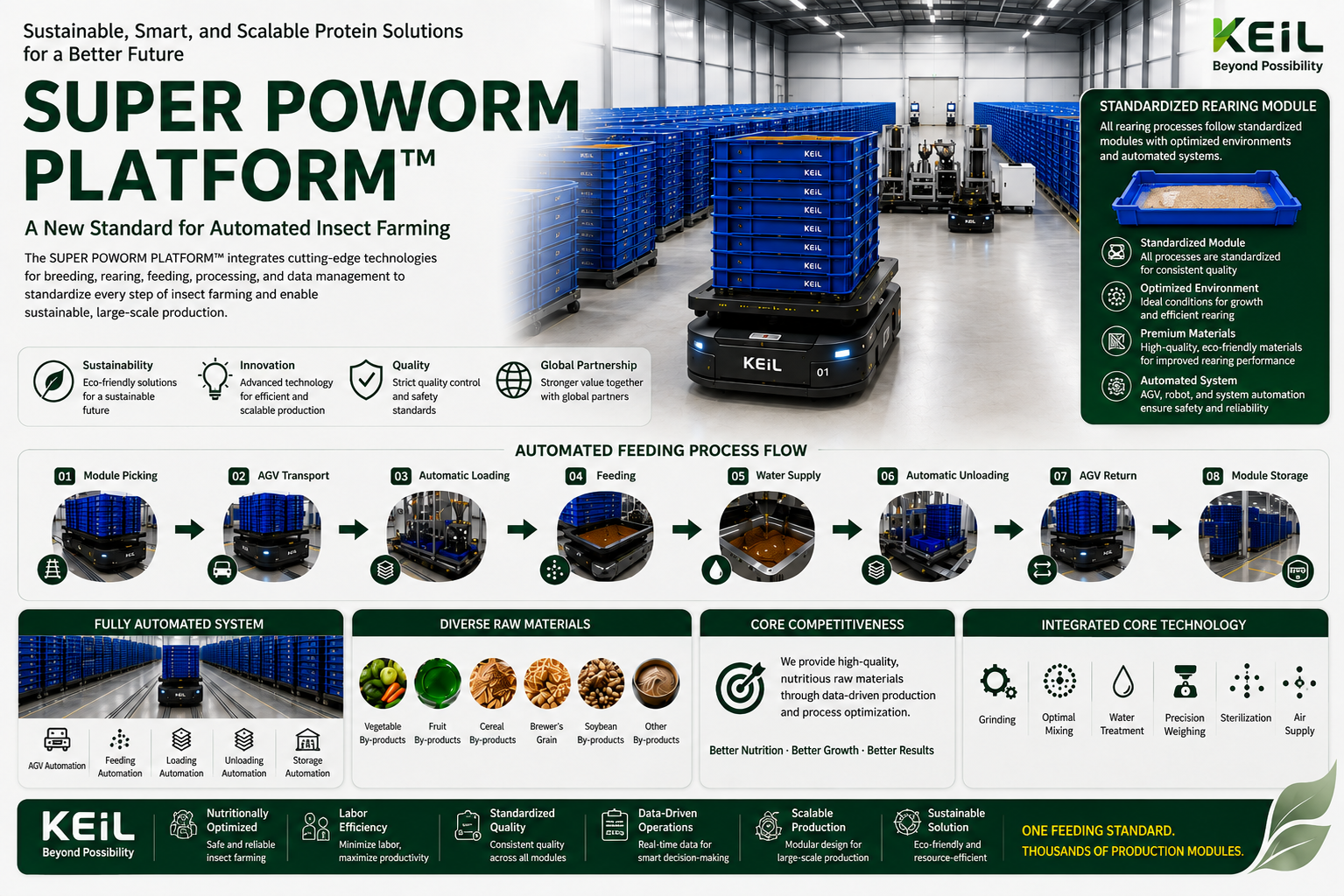 MEALWORM