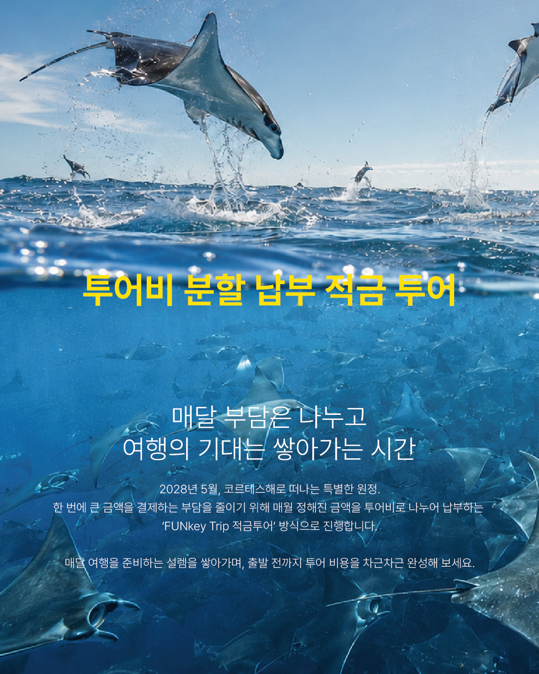 적금투어 안내