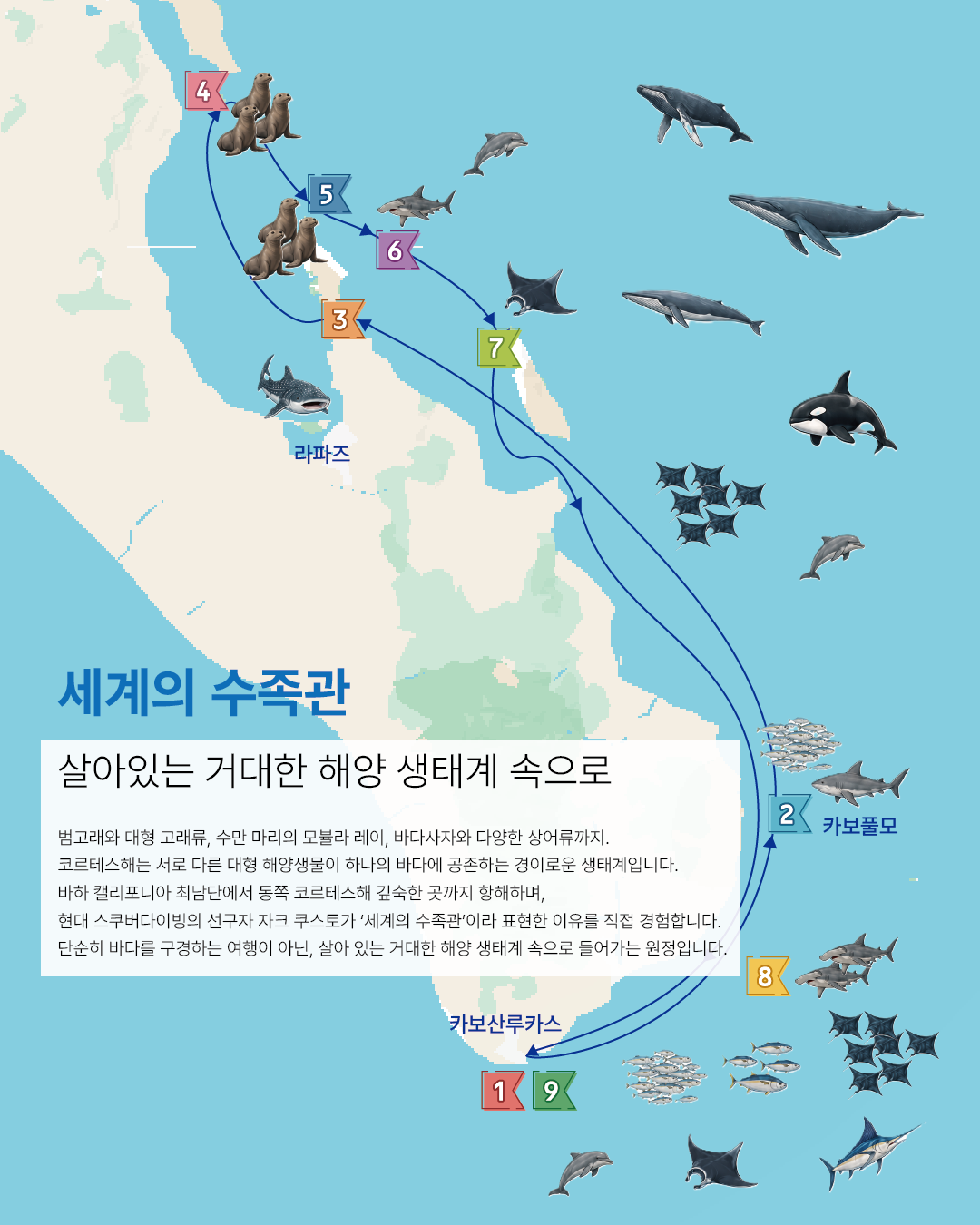 세계의 수족관을 가로지르는 항해