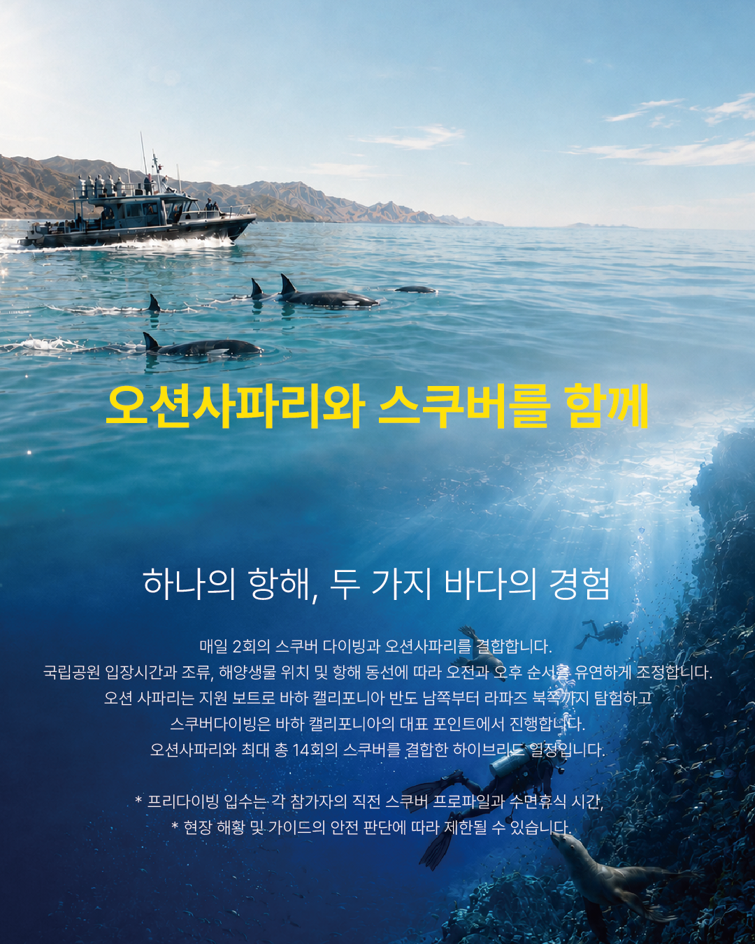 하나의 항해, 두 가지 바다의 경험