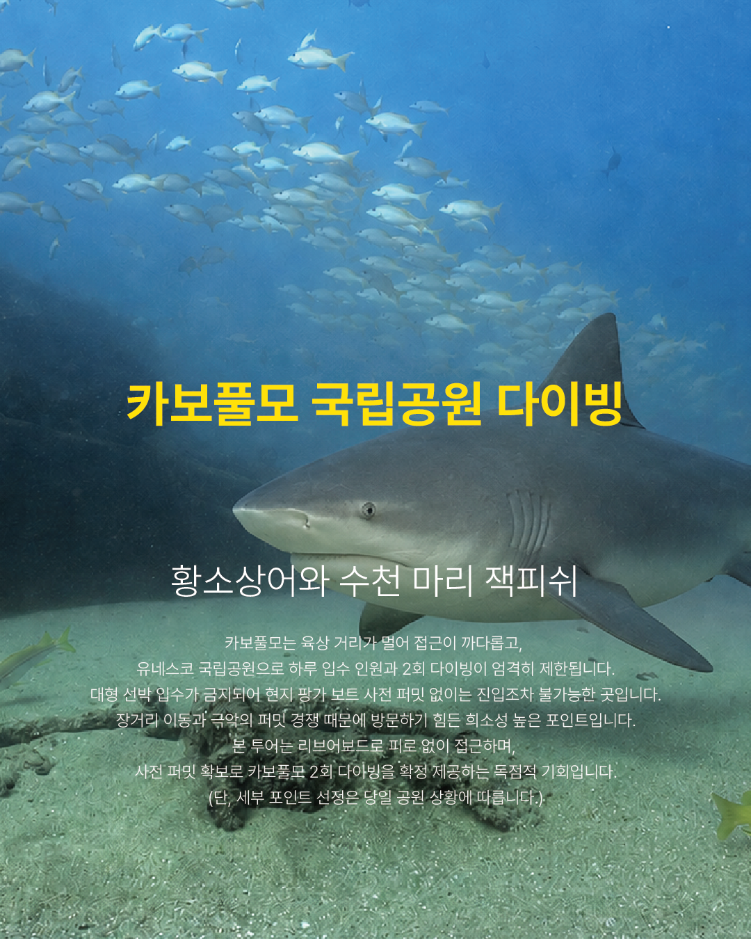 카보풀모 다이빙
