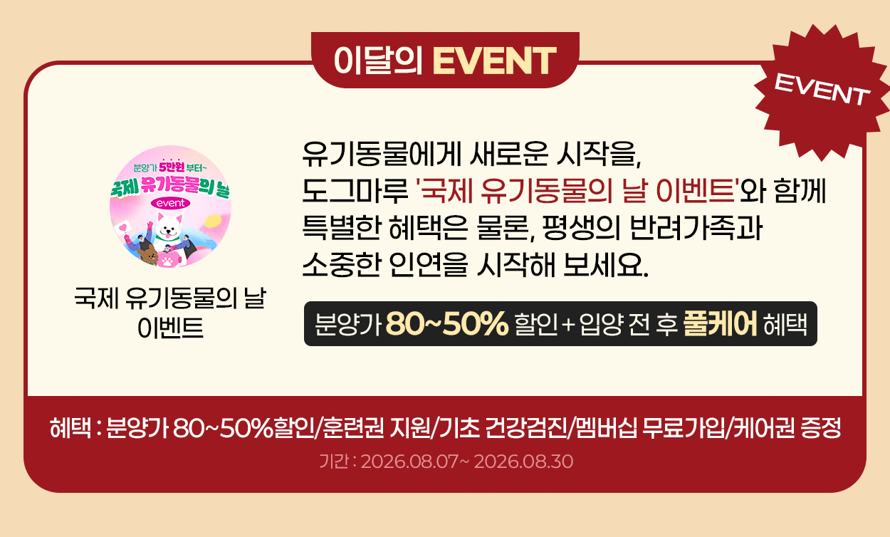 도그마루 국제 유기동물의날 이벤트, 분양가 80~50% 할인, 훈련권 지원, 기초 건강검진, 멤버십 무료가입, 케어권 증정