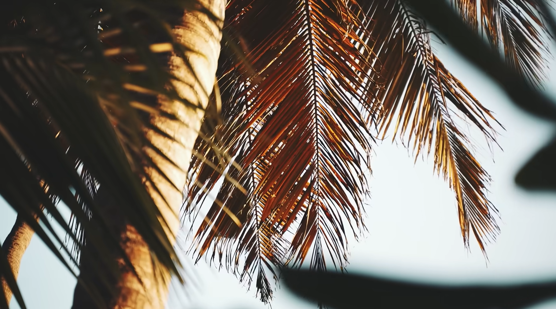 mobile background