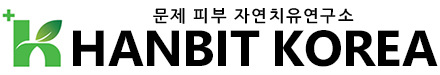 HANBIT KOREA LOGO