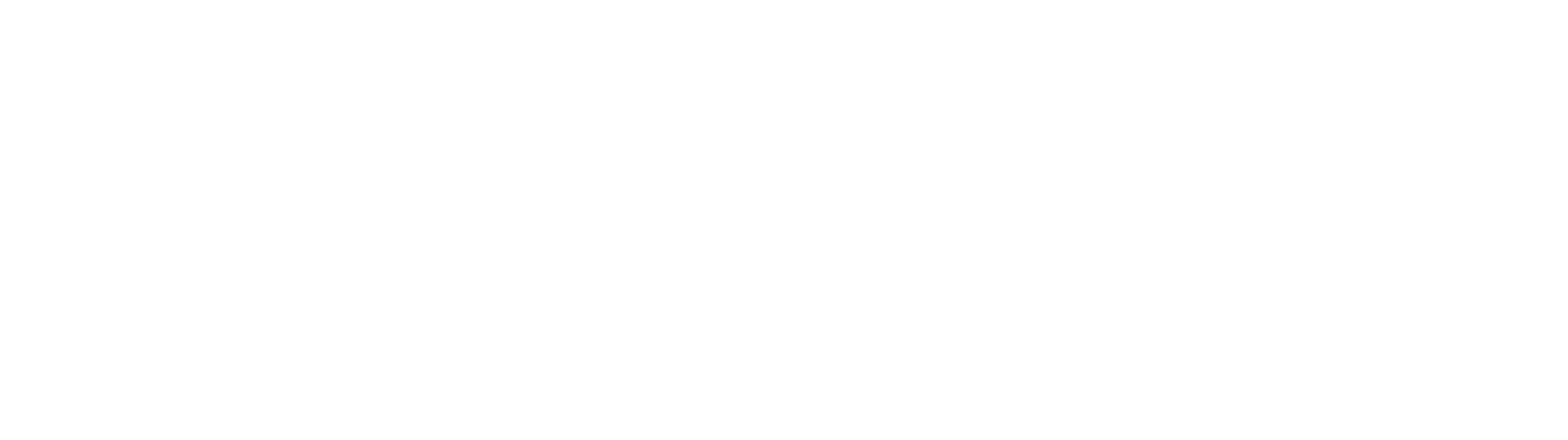 GANSE
