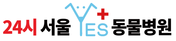 24시 서울 예스 YES 동물병원