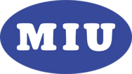 MIU 엠아이유