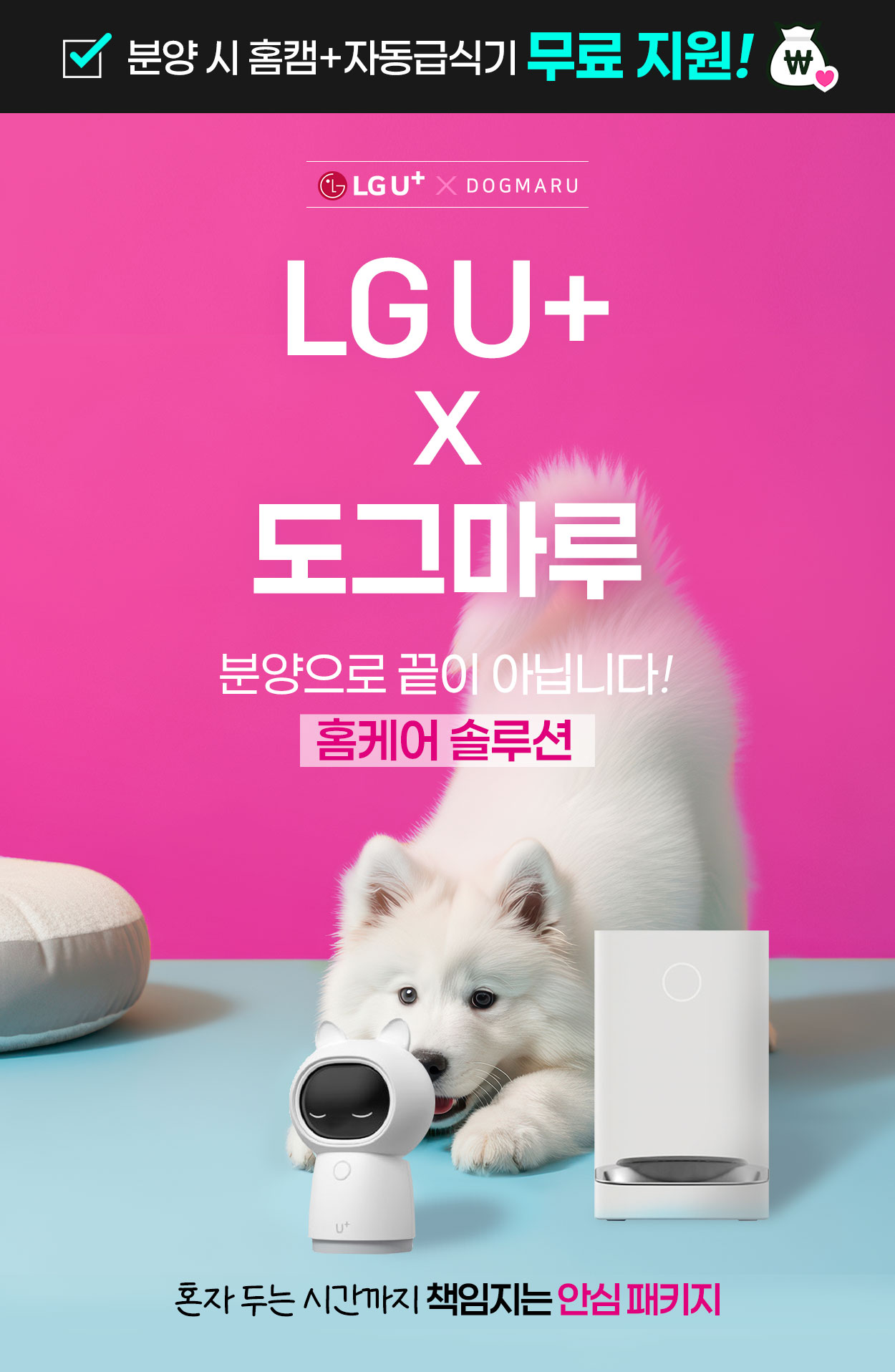 홈캠, 자동급식기 3년 가입비 396,000원 전액 지원