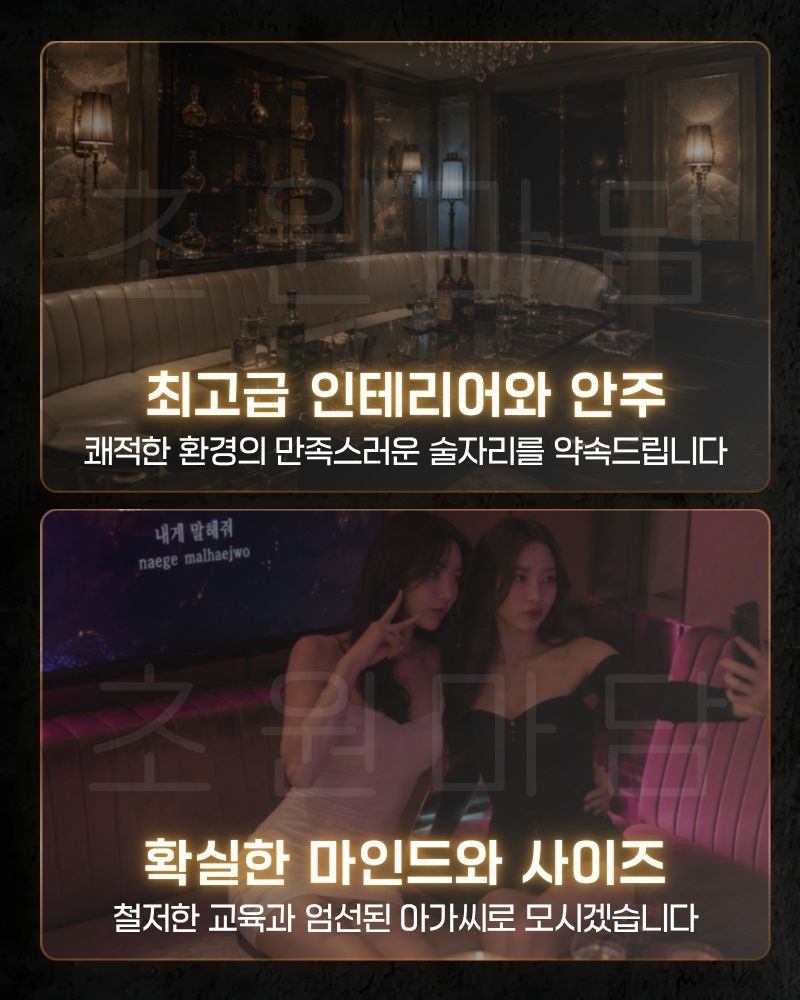 강남 세이렌 쩜오 매장 내부 전경 - 모던 럭셔리 인테리어