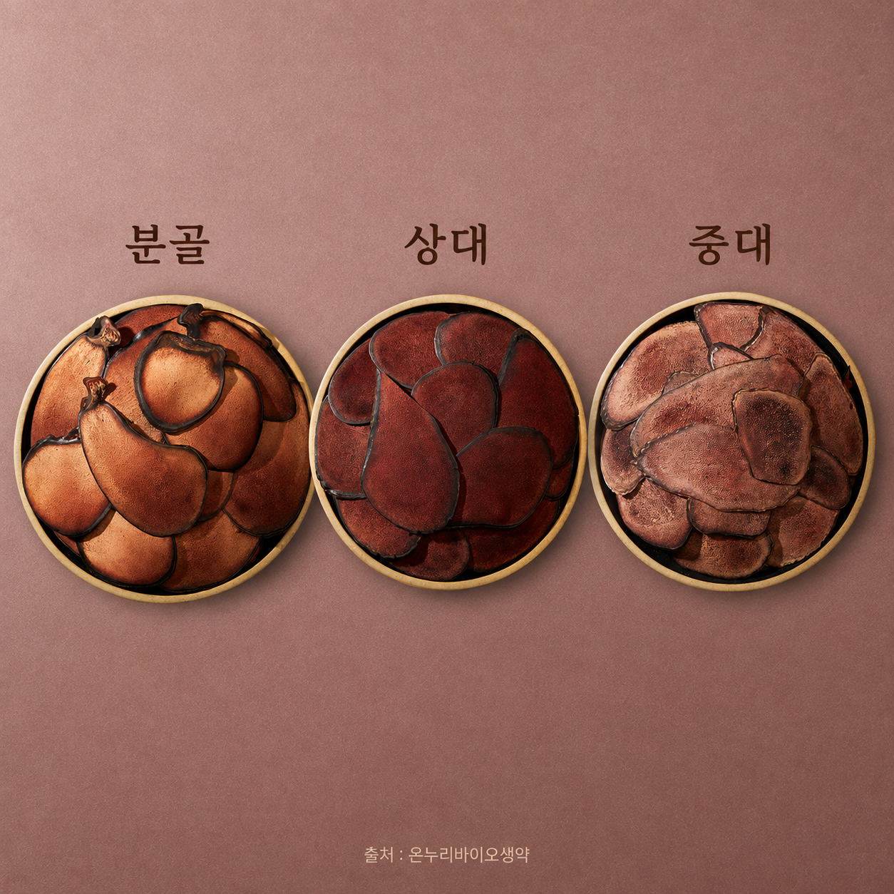 녹용 분골 상대 중대 비교