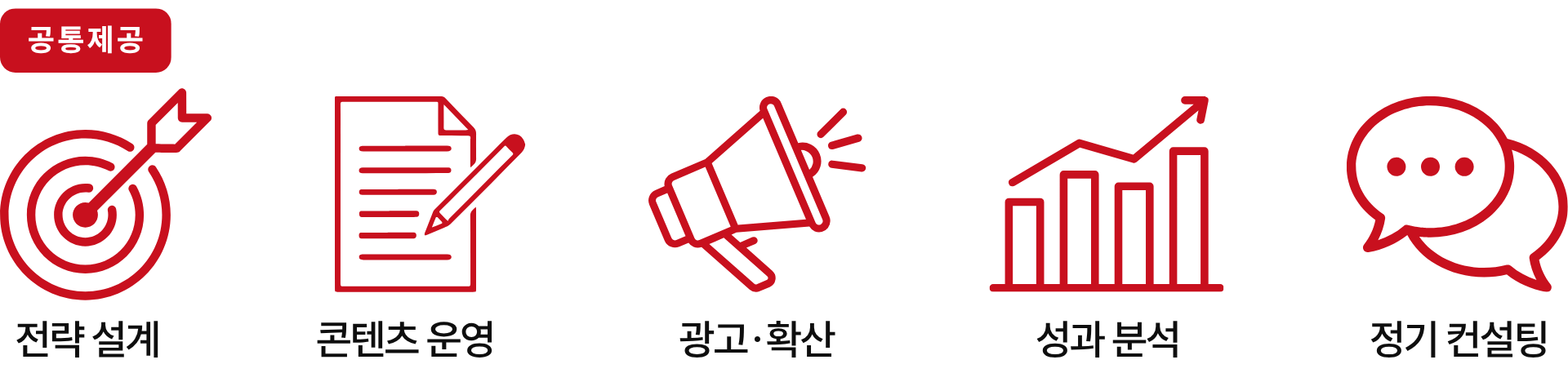 공통 제공 - 전략 설계, 콘텐츠 운영, 광고 및 확산, 성과 분석, 정기 컨설팅