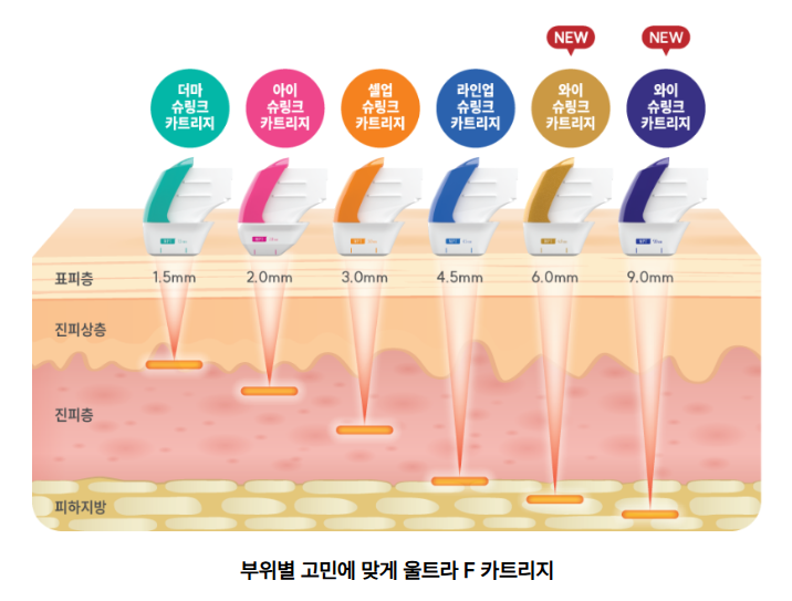 울산슈링크유니버스 울트라F 카트리지 종류별 표피층 진피층 시술 깊이 안내 이미지(더마·아이·셀업·라인업·와이 슈링크 카트리지)