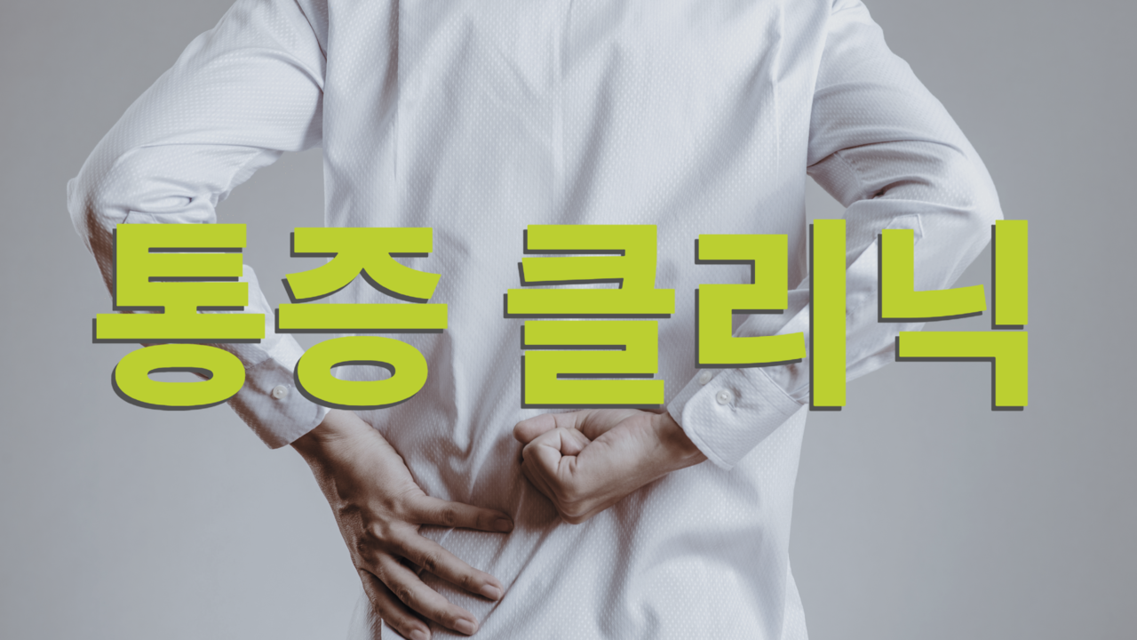 통증 허리통증 무릎 관절염 어깨 관절 척추 