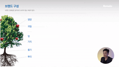 bxd0 강의 슬라이드, 나무 일러스트와 함께 브랜드 구성 요소를 wants needs 원시뇌 관점으로 정리한 구조도