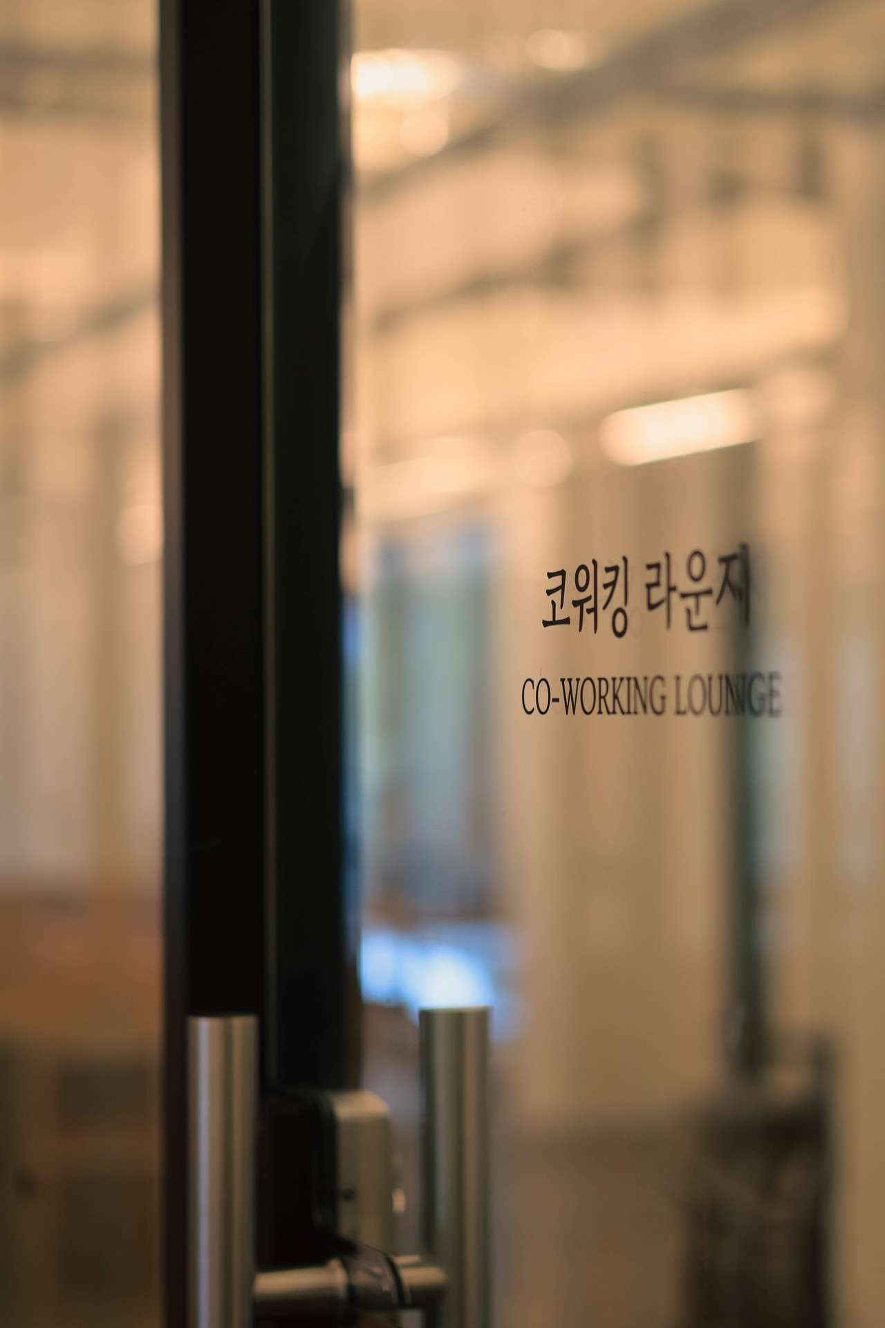 격자 창으로 빛이 드는 내일을 위한 집 내부 복도