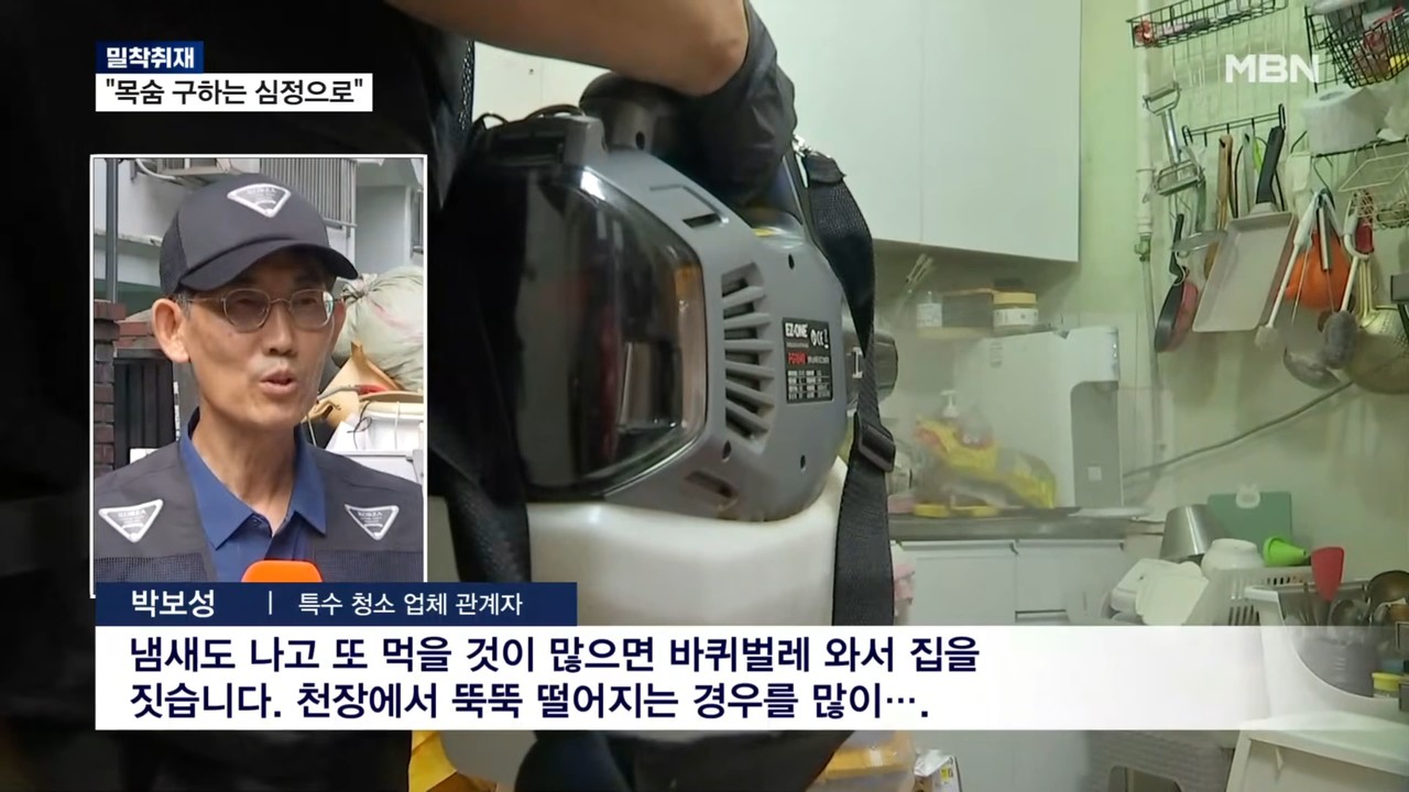MBN 방송 출연