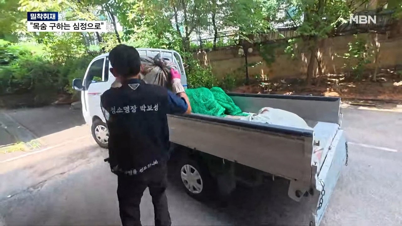 MBN 방송 출연