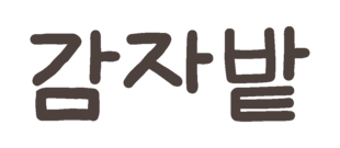 춘천 감자밭 공식몰 – 감자빵의 원조 감자밭, 밭과 일상의 소중함을 전합니다.