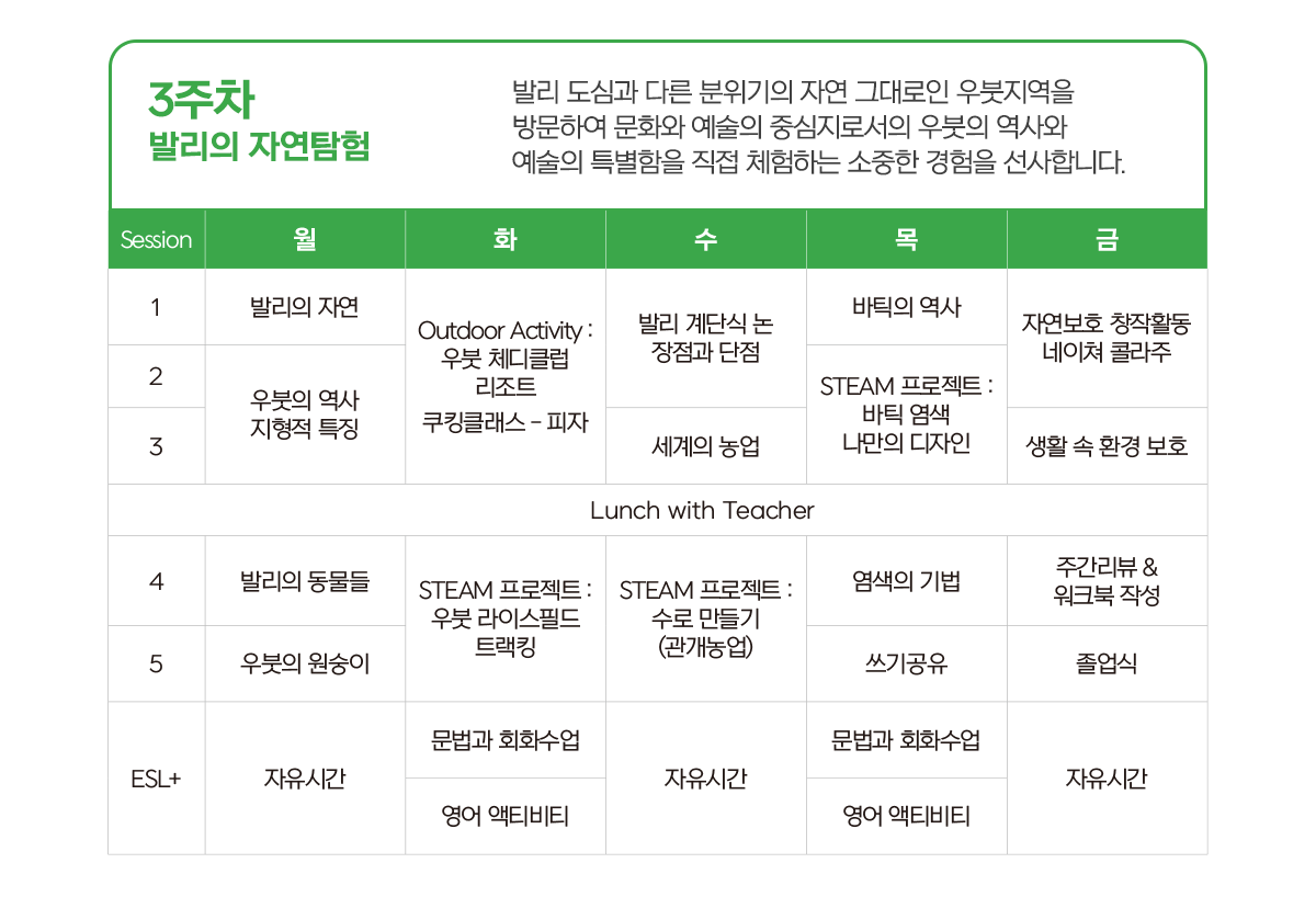 스터디인파라다이스 스팀 커리큘럼 STEAM 발리영어캠프