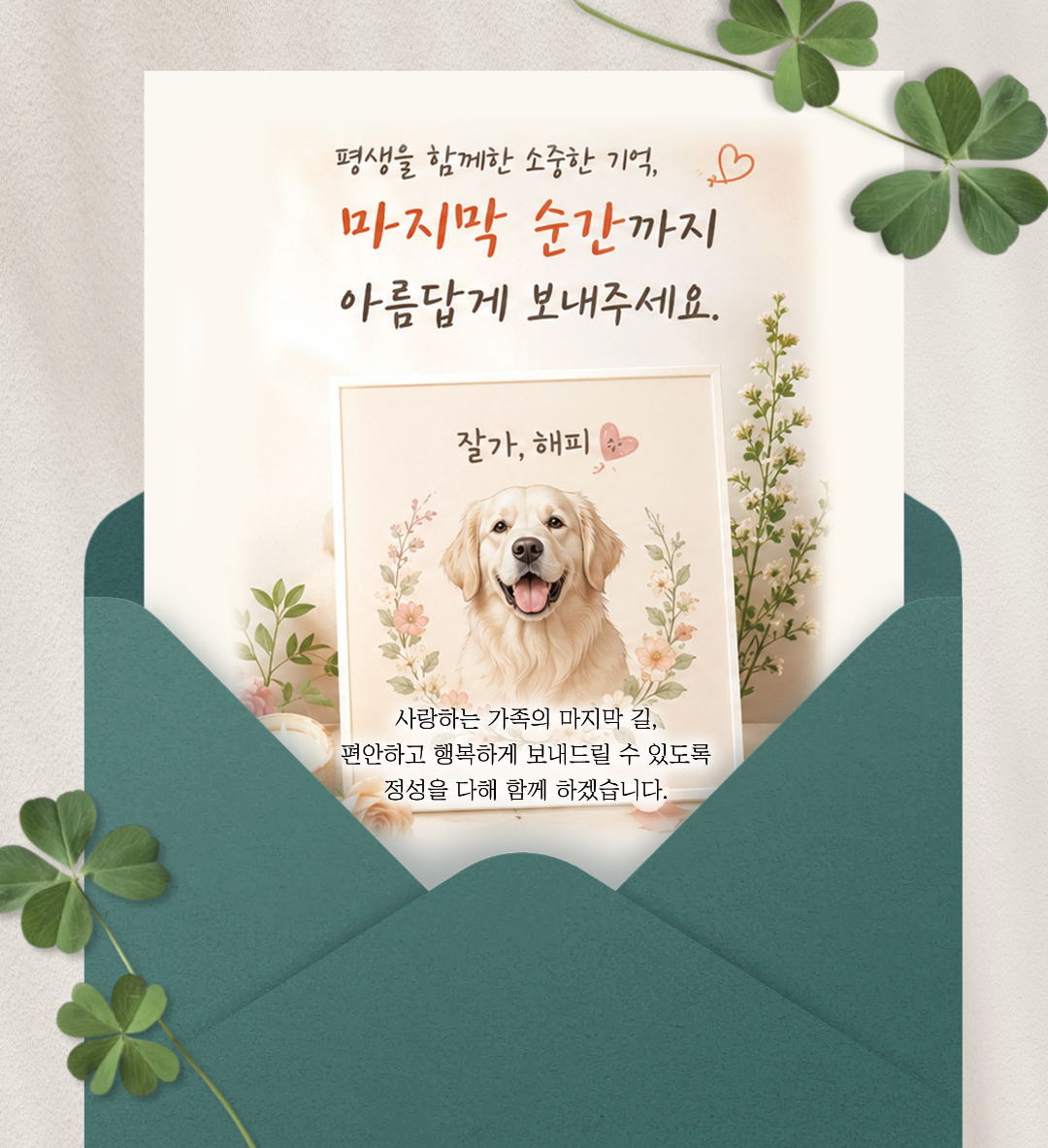 happypet-letter-open