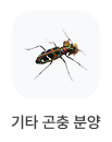 기타 곤충 분양