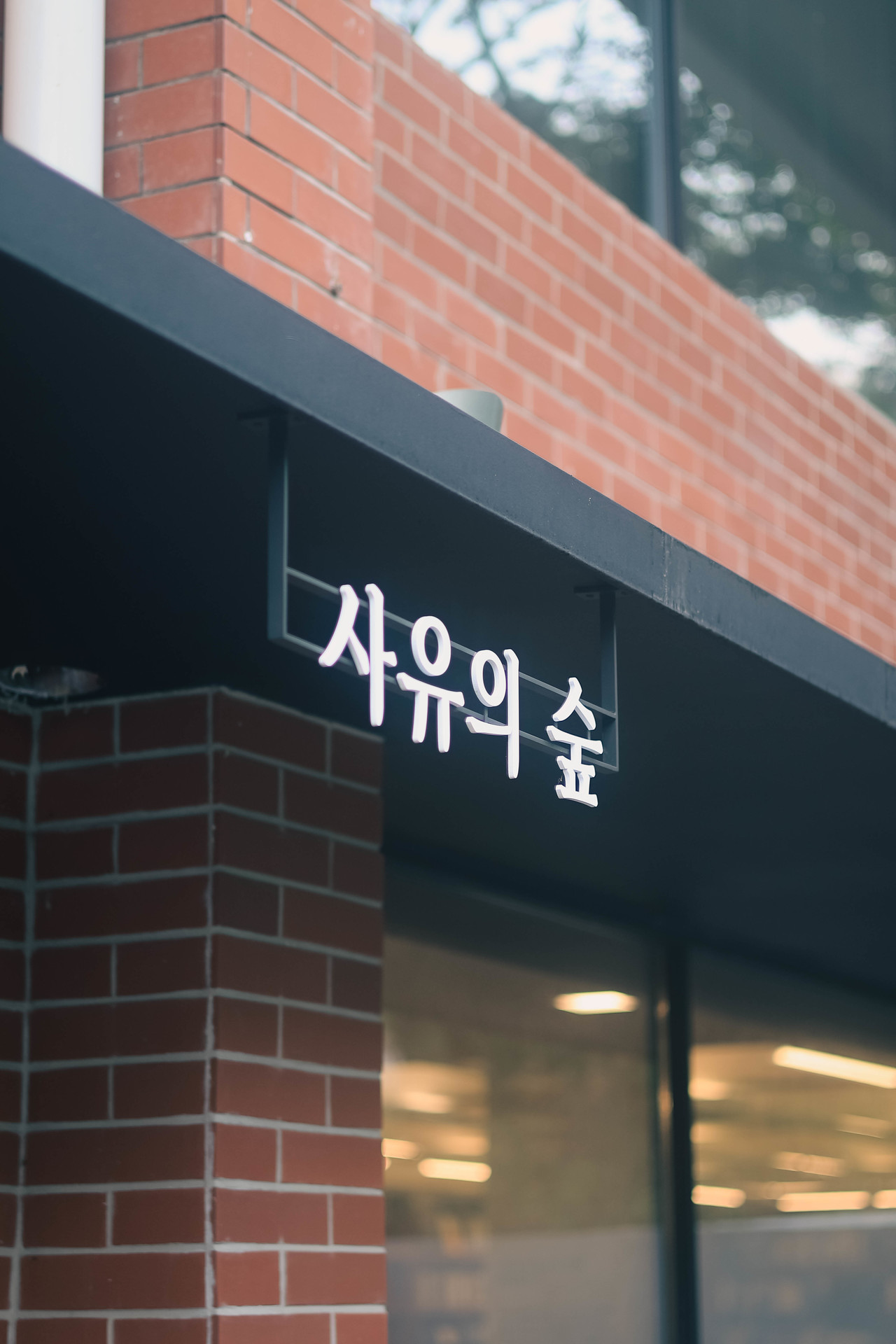 격자 창으로 빛이 드는 내일을 위한 집 내부 복도