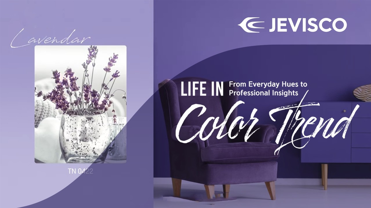 Director / Edit